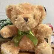 ぽこともの画像