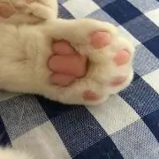 みかん☆