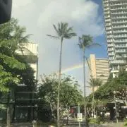 よーちゃん（8/5〜8/25配送停止）の画像