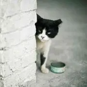 こじろう☆の画像