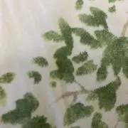 おつ