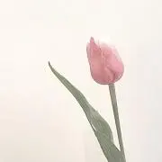 ゆうの画像