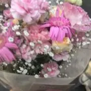 ぽにの画像