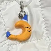 sariの画像