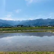 てるさん