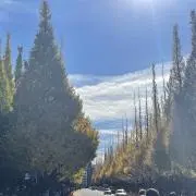 kaoyonの画像