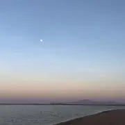 ねおの画像