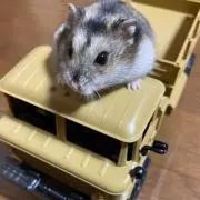 いーさんの画像