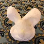 あらの画像