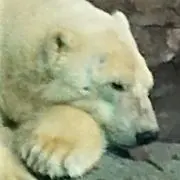 清水の画像