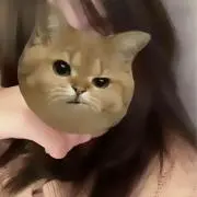 未来の画像
