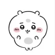 はーちゃんの画像