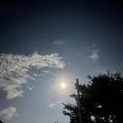 SgymHdの画像