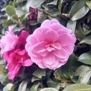 みさん★プロフィールご一読ください★の画像