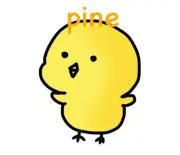 pineの画像