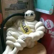 瑠璃の画像