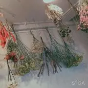 かおりの画像