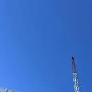 Pepitaの画像