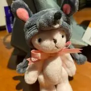 ヤスキャンの画像