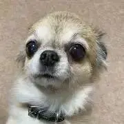ナナちゃんの画像