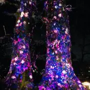 MITOの画像
