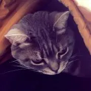 *いづき*の画像