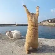 彼方