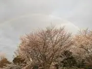 timeの画像
