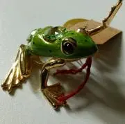 カムマの画像
