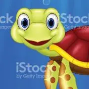 かめちゃんの画像