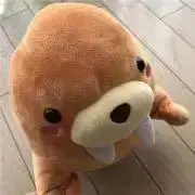 MAMIの画像