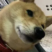 母ちゃんの画像