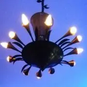 ruriの画像