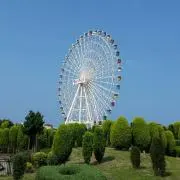 あめちゃんの画像