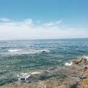 kuroの画像