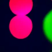 【引越しのため大量出品中】るか