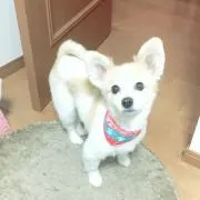 ローちゃん