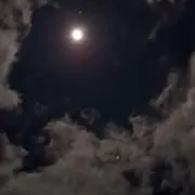 ヘインの画像