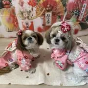 まゆ♡の画像