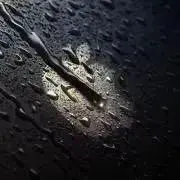 SAITOUの画像