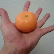 橙