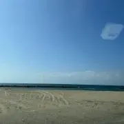 カワウソの画像