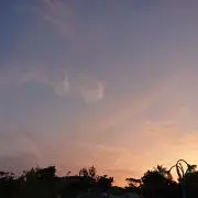 ゆうひの画像