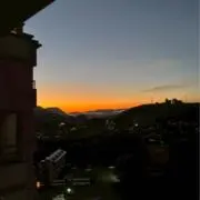 yの画像