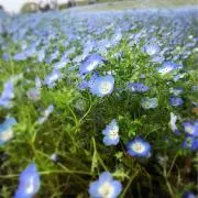 OMARUNの画像