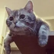 ポの画像
