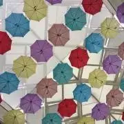 yusaの画像