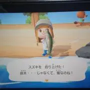 パッチ☆の画像