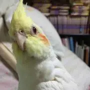 るる