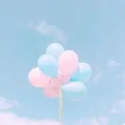 pontanの画像